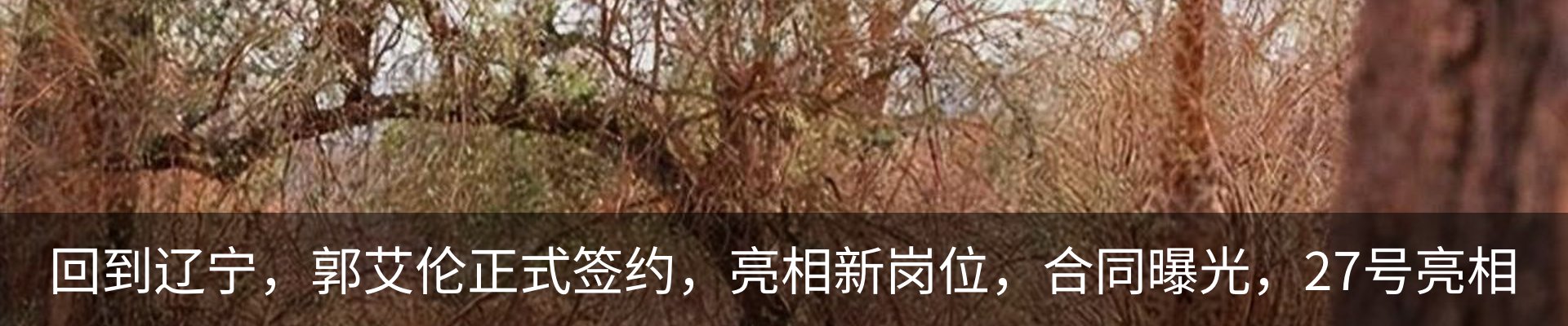 资讯中心