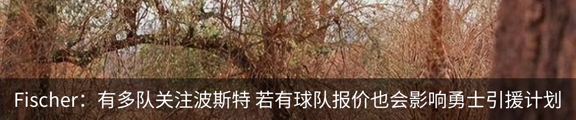 资讯中心